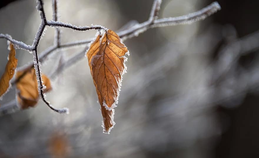 Moti sot: Me vranësira e diell por i ftohët, temperaturat deri në -6 gradë