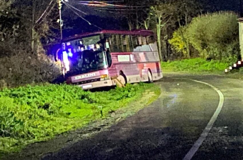 Vrasja e trefishtë në Gllogjan, dëshmitarja okulare thotë se një person ka gjuajtur me armë drejt autobusit