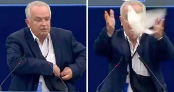 Eurodeputeti sllovak lëshon pëllumbin në Parlament si simbol i paqes