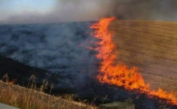 Të respektuar fermerë, mos e ndezni kashtën pas korrje-shirjeve