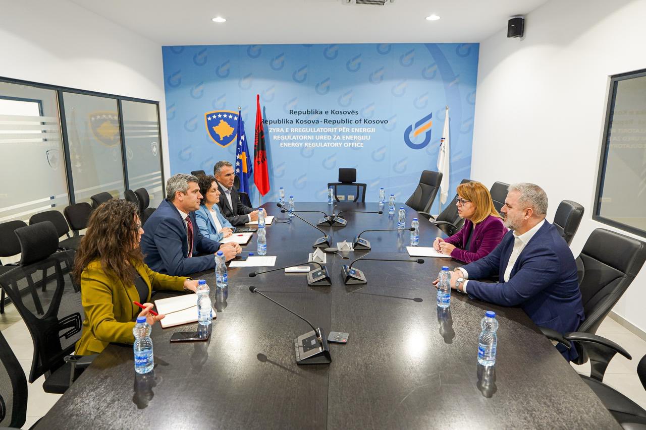 LDK-ja dorëzon në ZRrE kërkesën për anulimin e vendimit për rritjen e çmimit të energjisë elektrike LDK-ja dorëzon në ZRrE kërkesën për anulimin e vendimit për rritjen e çmimit të energjisë elektrike
